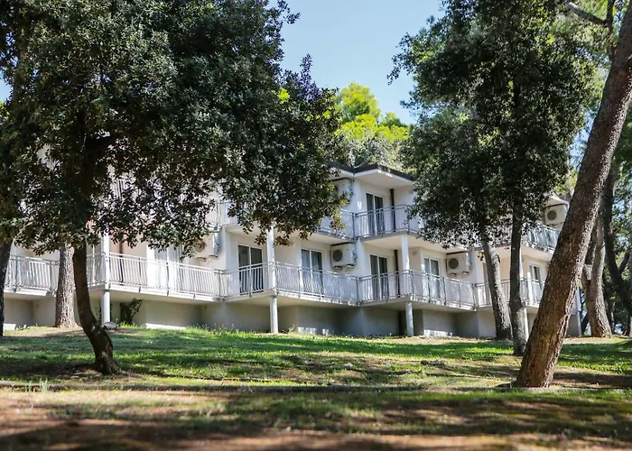 Arena Verudela 4* 풀라