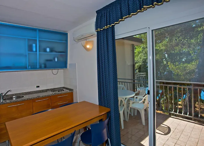 Arena Verudela 4* 풀라