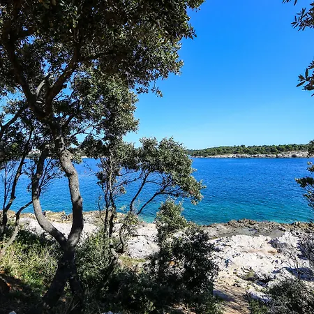 Arena Verudela Resort 4*